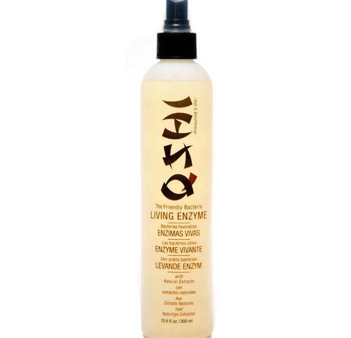 QSHI Living Enzyme Dry Shampoo – 10.6oz