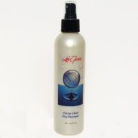 La Gem Citrine Dry Shampoo - 8oz